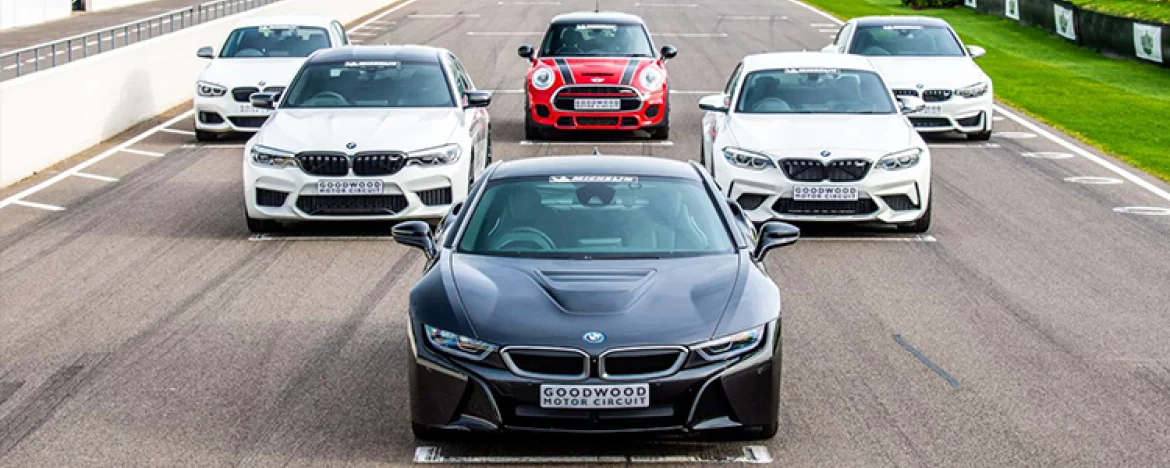 goodwood driving experience