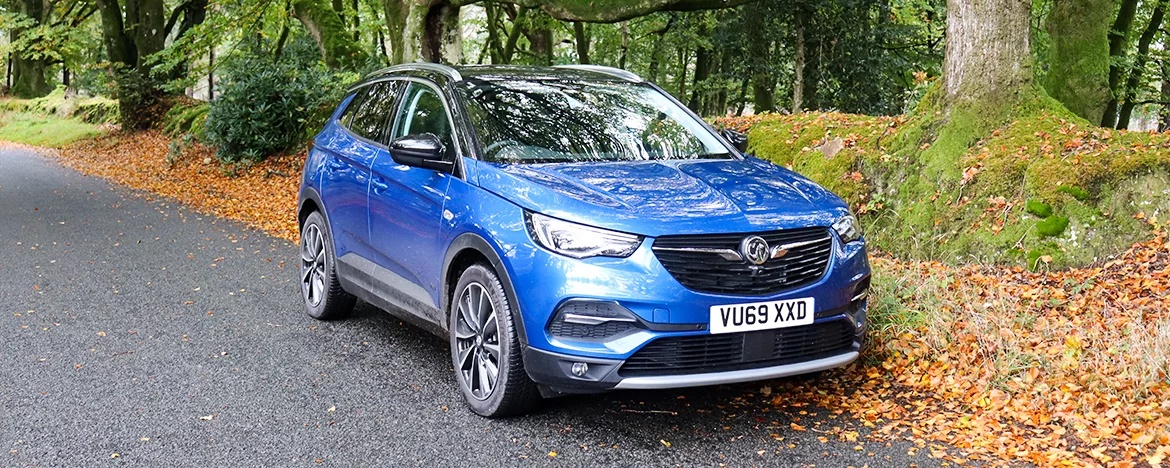 Grandland X autumn leaves