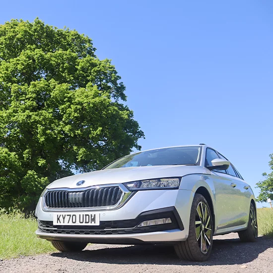 Skoda Octavia Estate Parked under tree