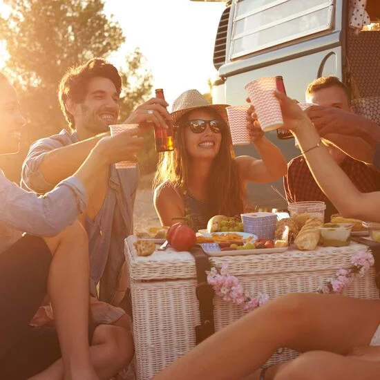 Friends at a picnic, campervan in background