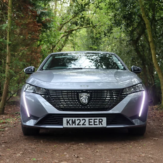 Peugeot 308 SW parked under trees