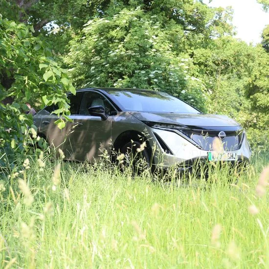 Nissan Ariya parked under tree